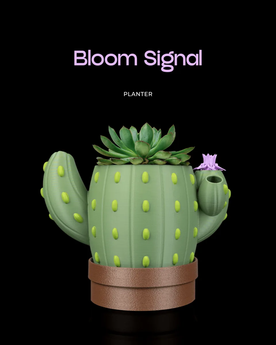 Bloom Signal - Planter