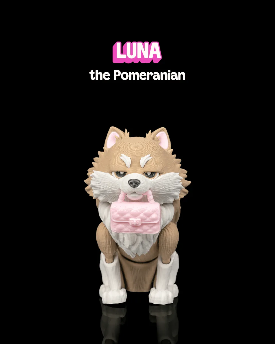 Luna, the Pomeranian