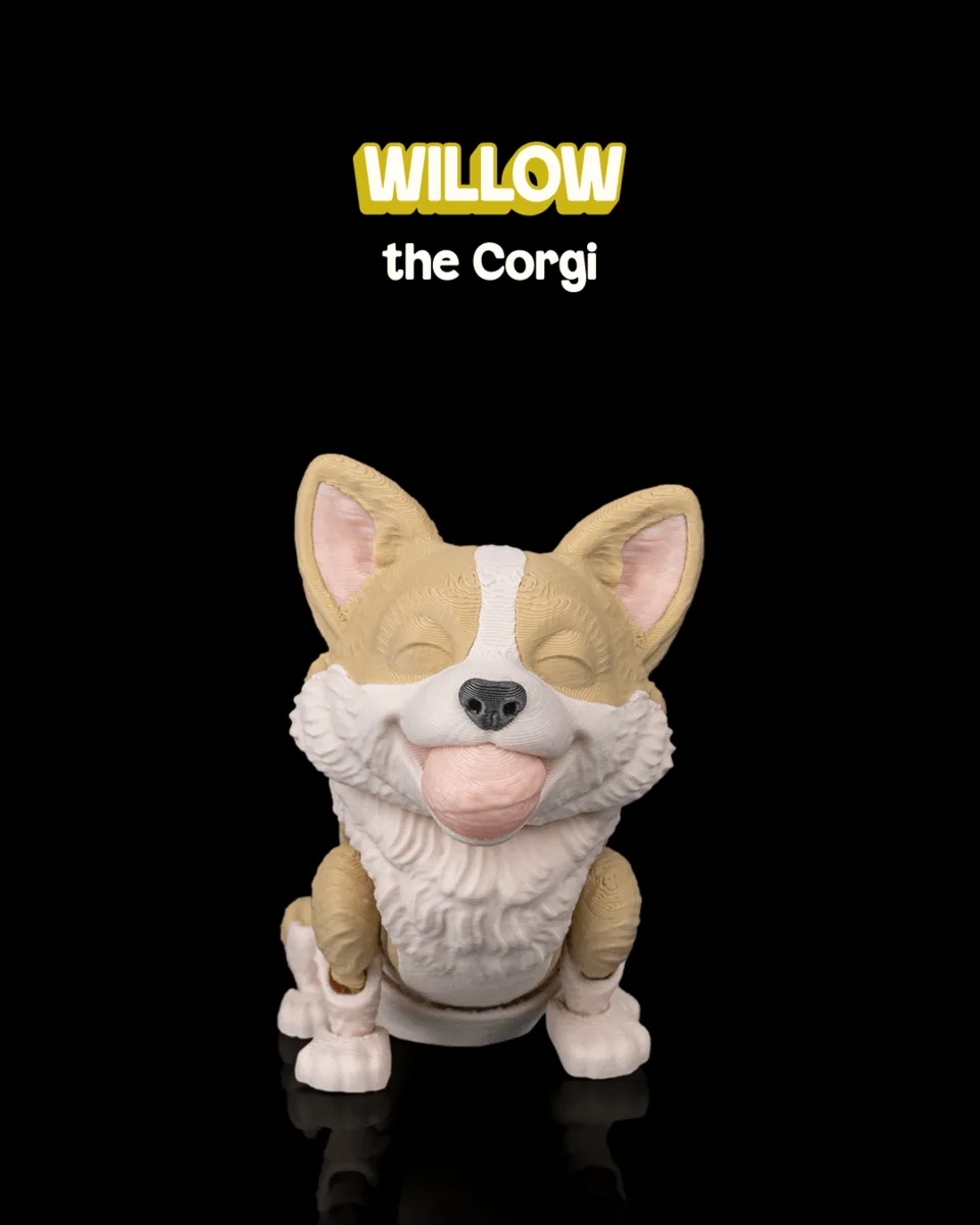 Willow, the Corgi