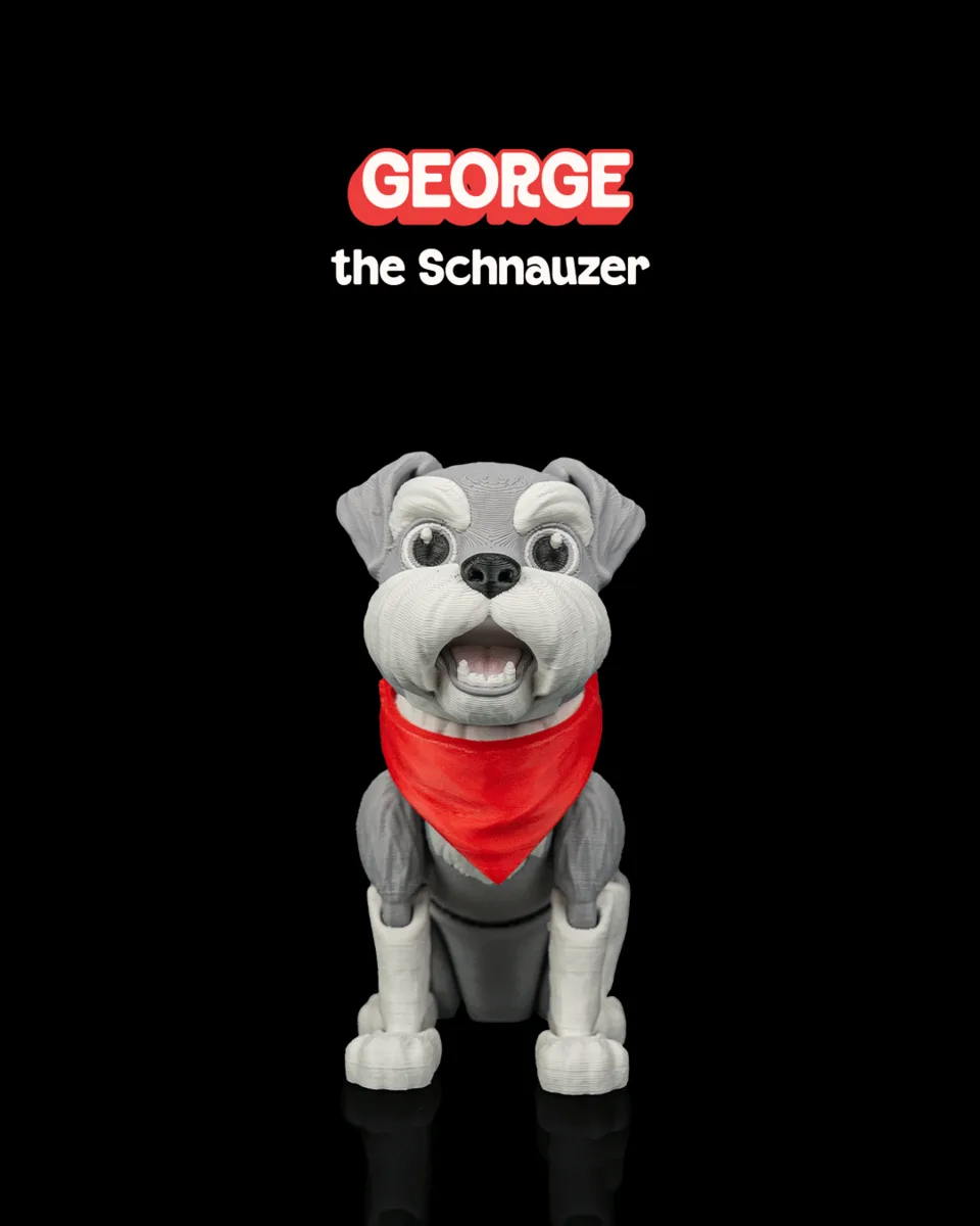 George, the Schnauzer