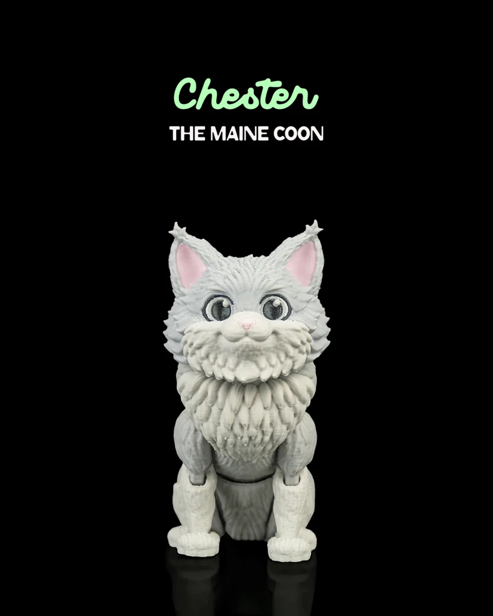 Chester, the Maine Coon