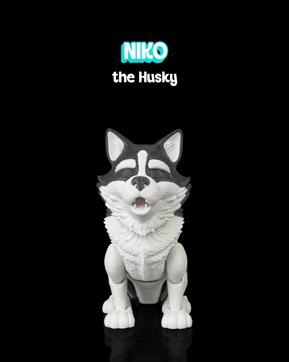 Niko, the Husky
