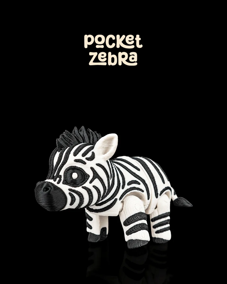 Pocket Zebra