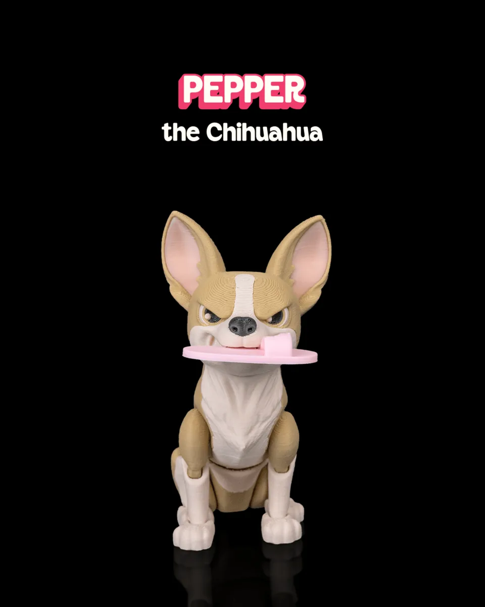 Pepper, the Chihuahua