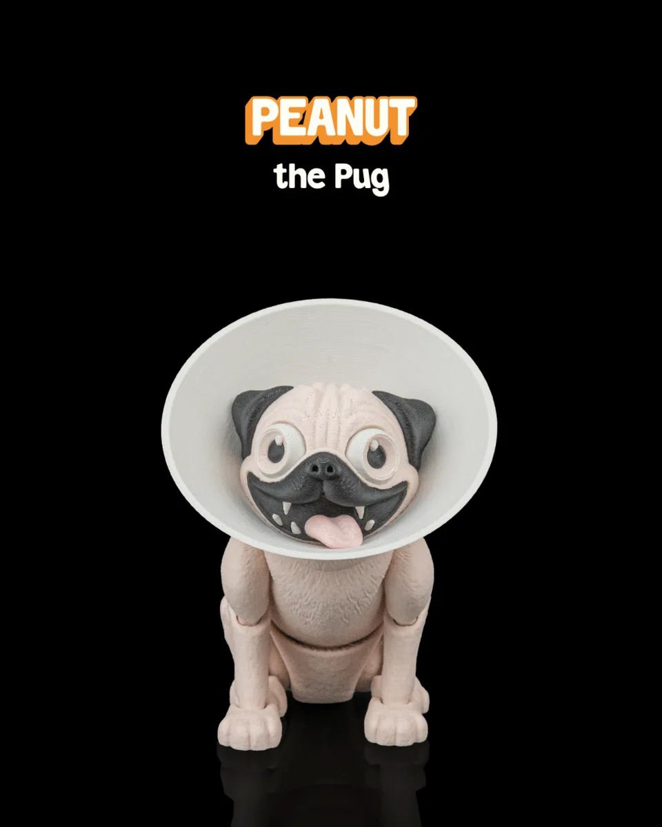 Peanut, the Pug
