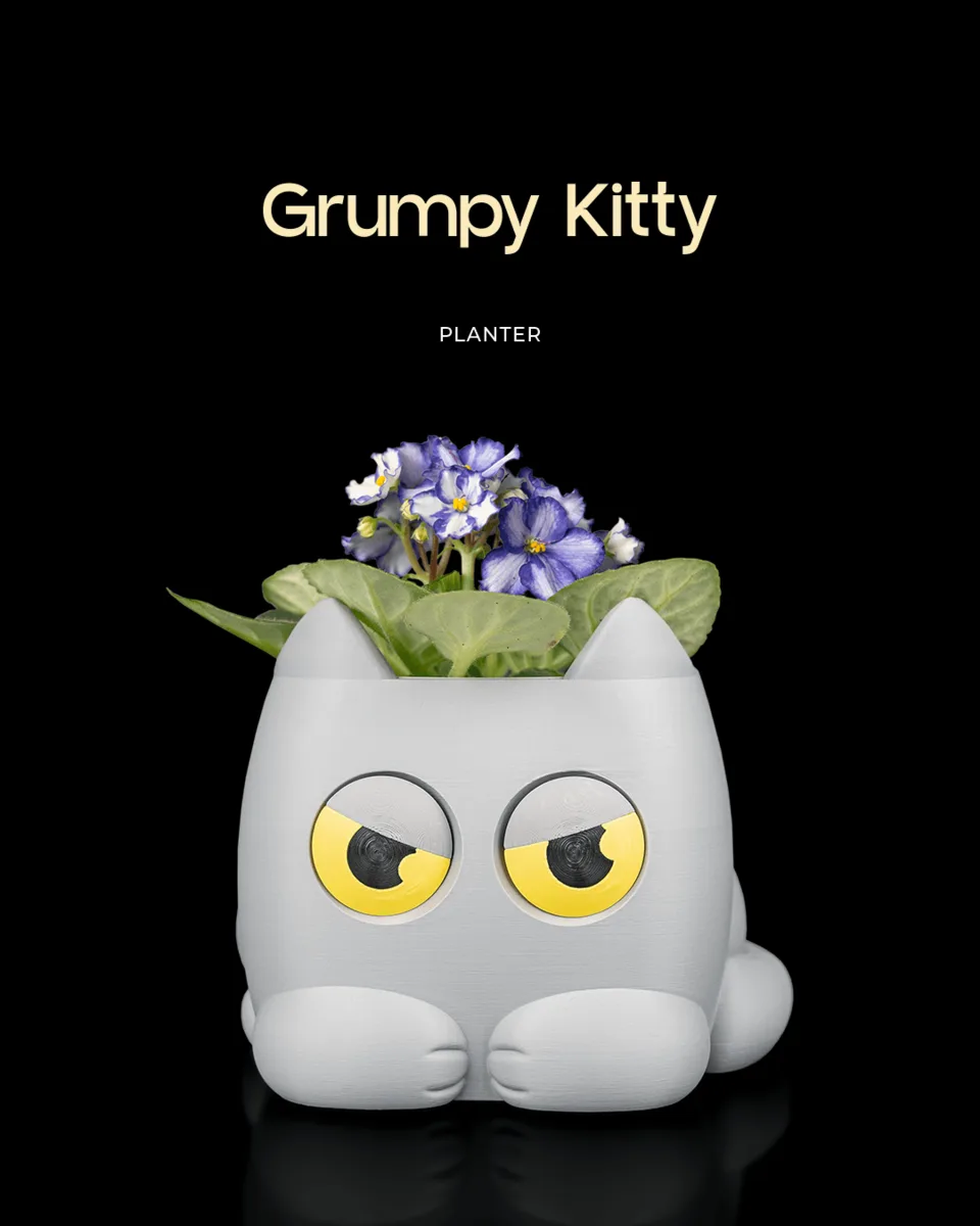 Grumpy Kitty - Planter