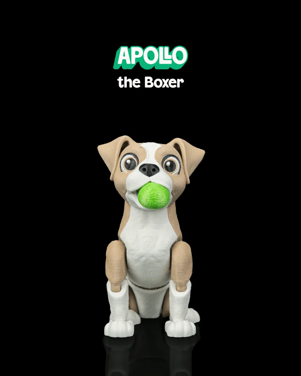 Apollo, the Boxer