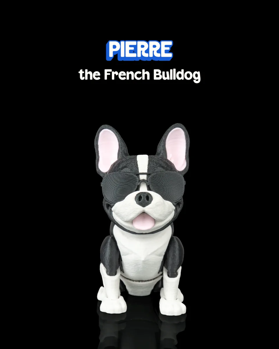 Pierre, the French Bulldog