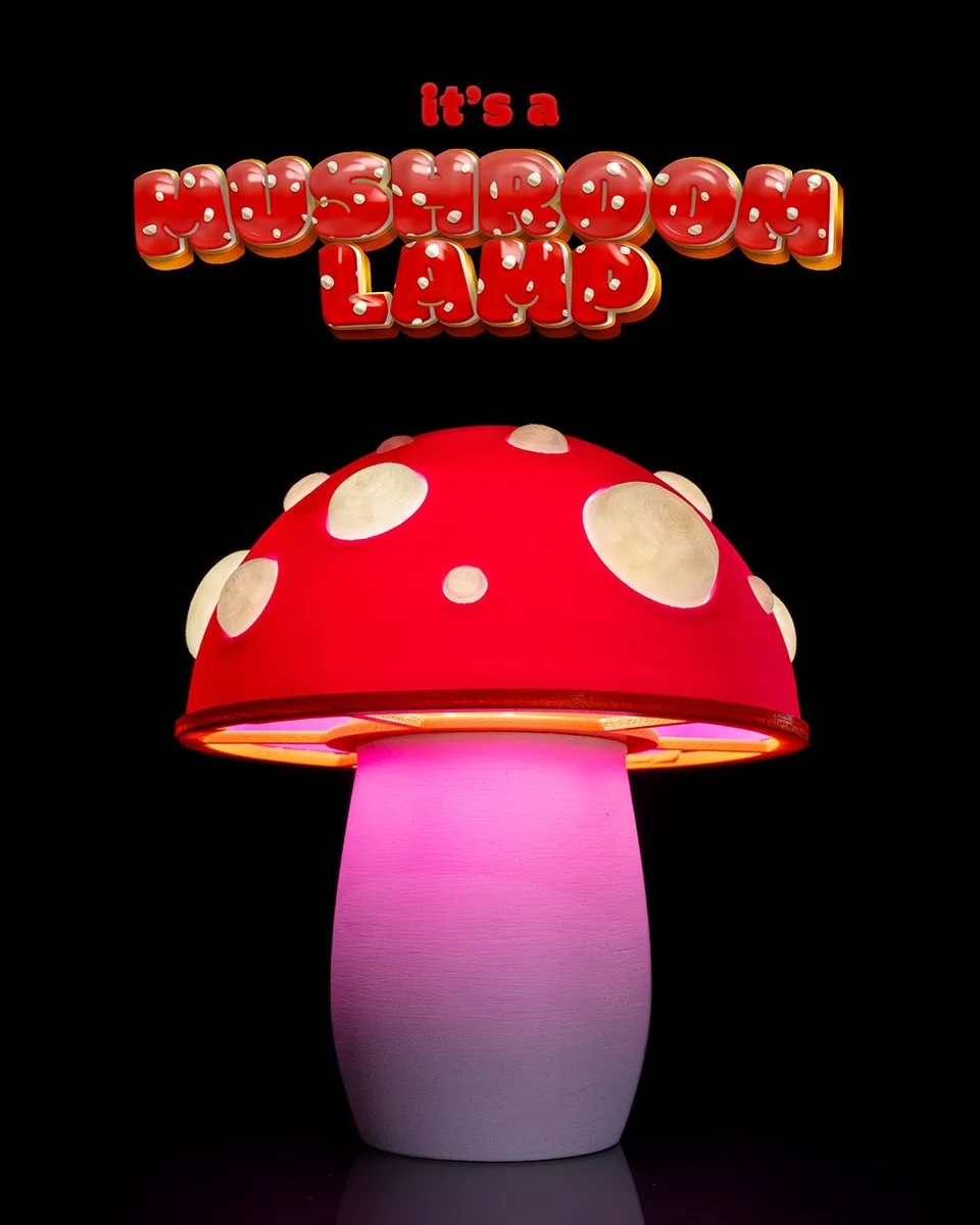 It’s a Mushroom Lamp
