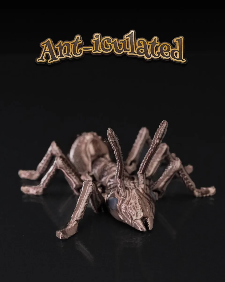 Ant-iculated