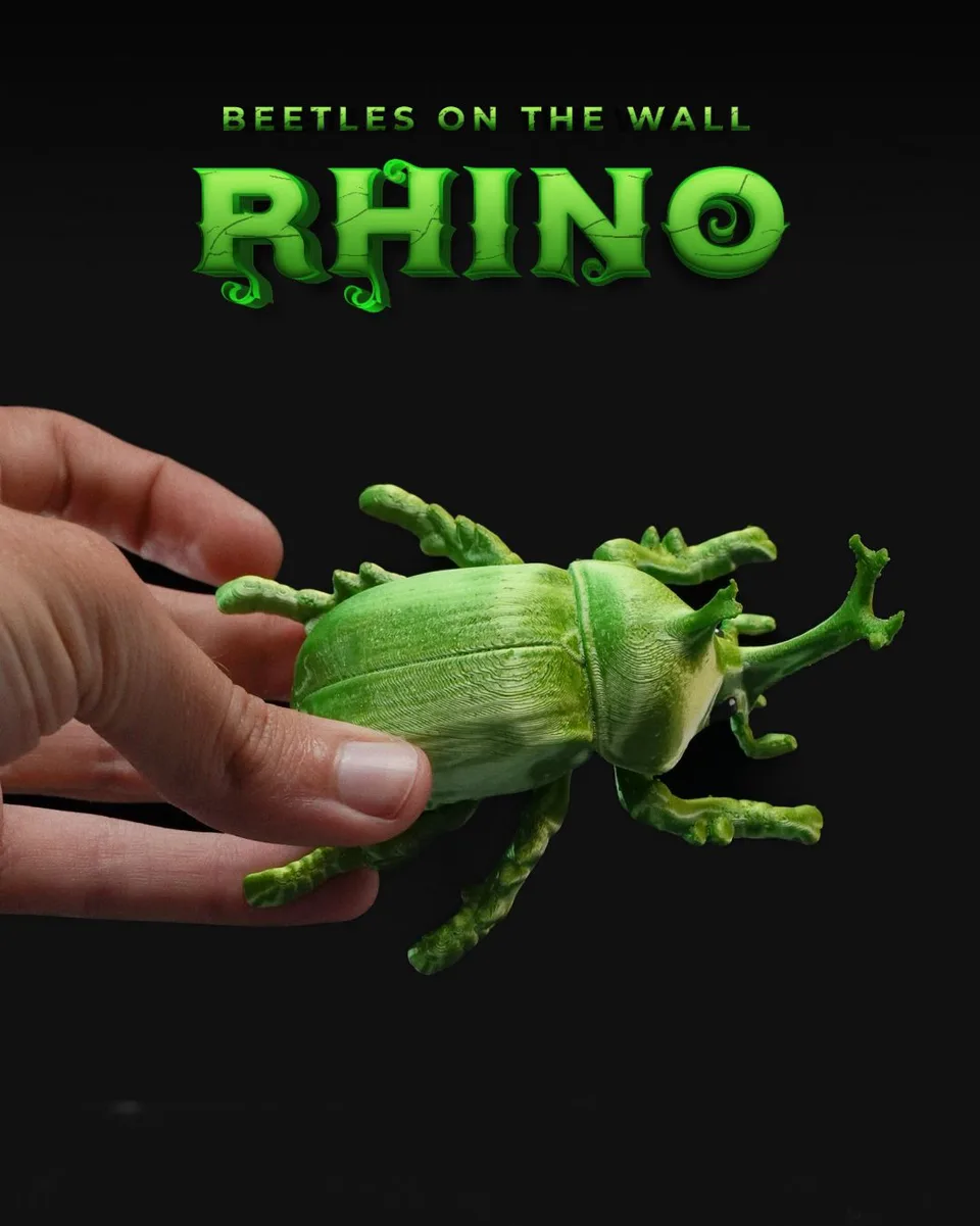 Beetles on the Wall — Rhino