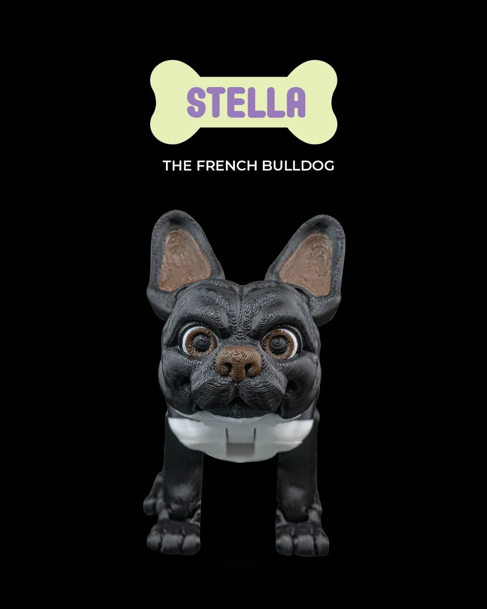 Stella, the French Bulldog