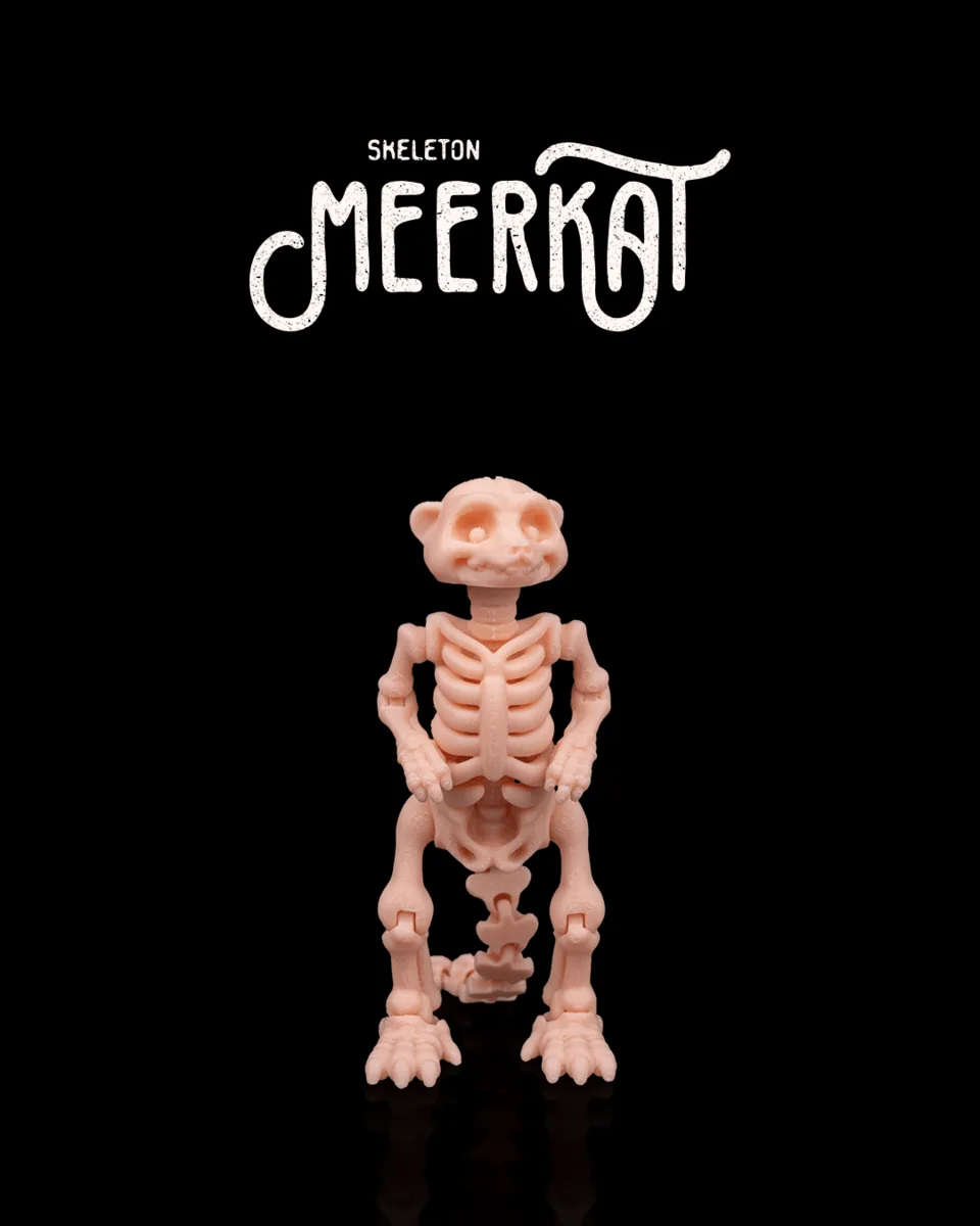Skeleton Meerkat