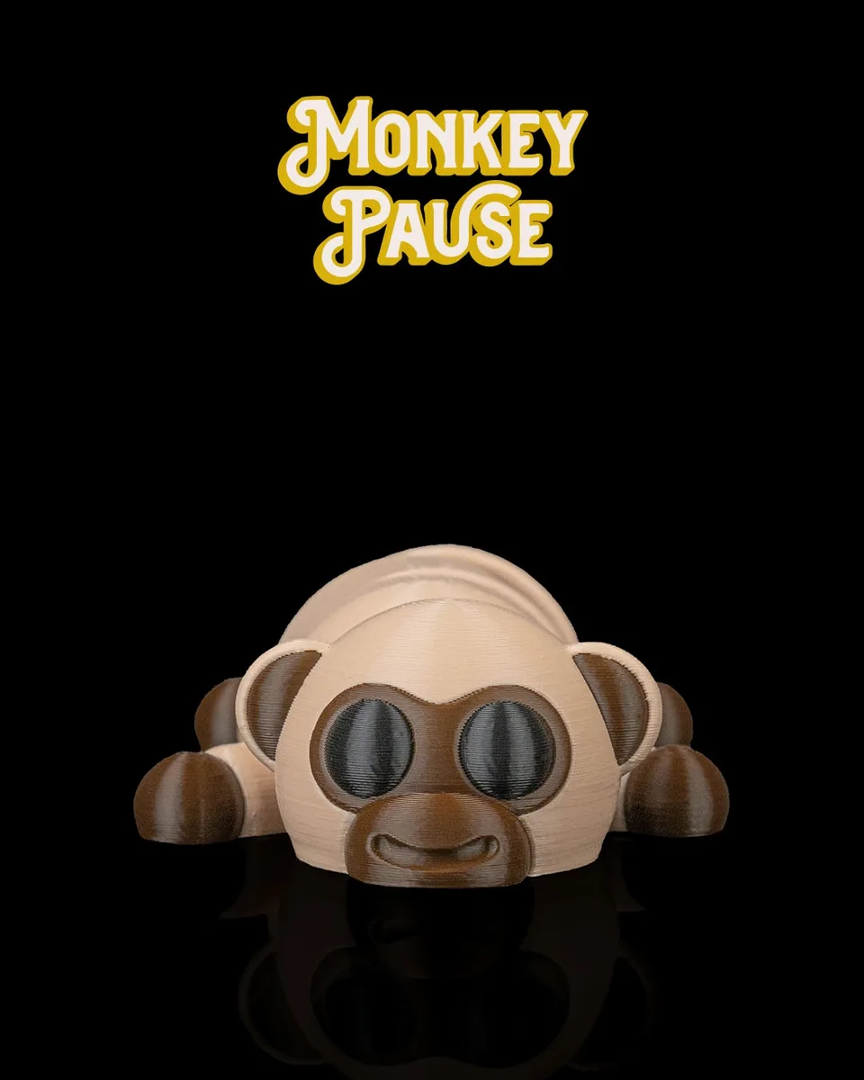 Monkey Pause