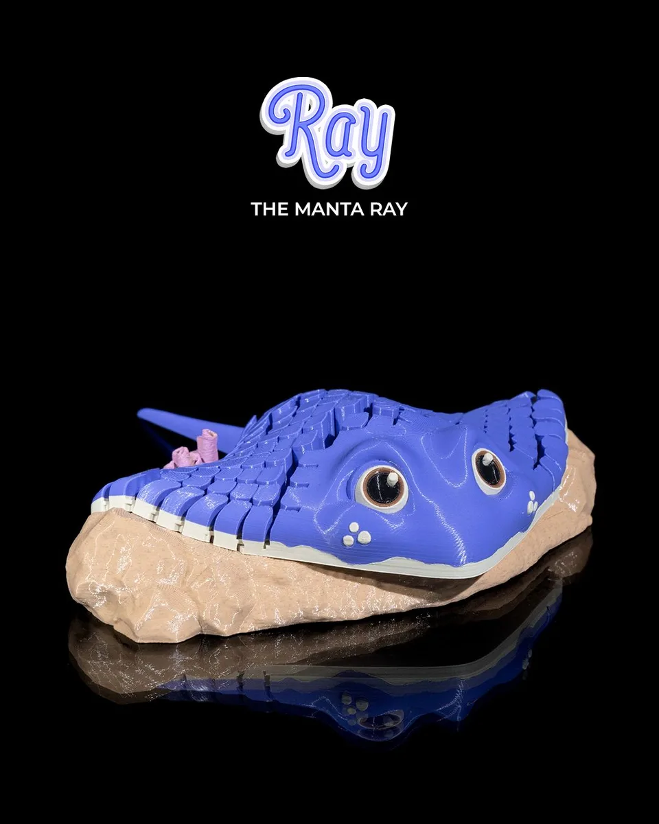 Ray, the Manta Ray