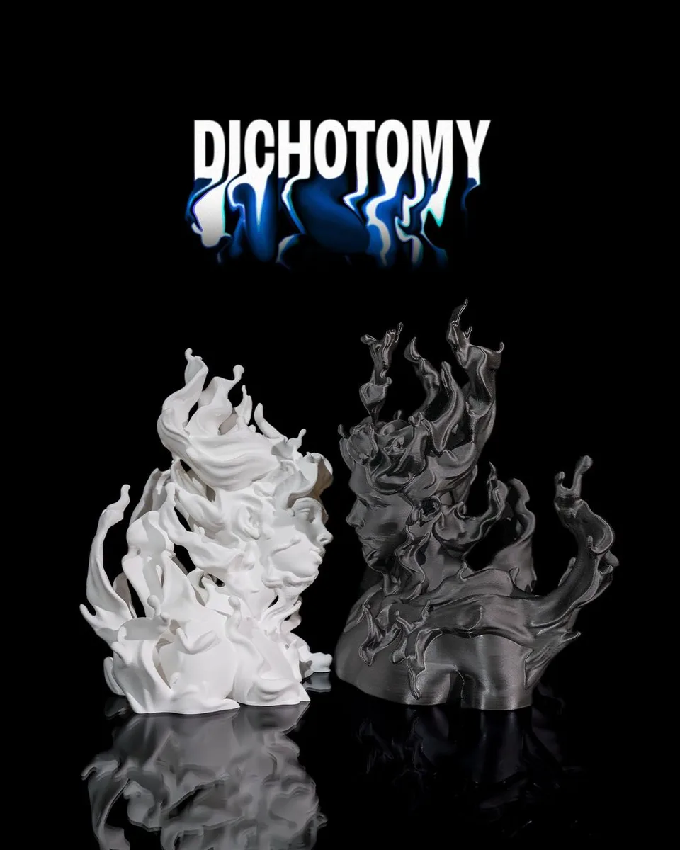Dichotomy