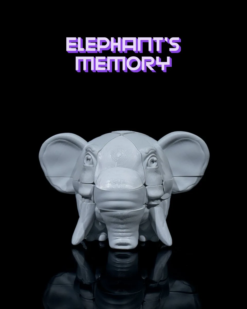 Elephant’s Memory