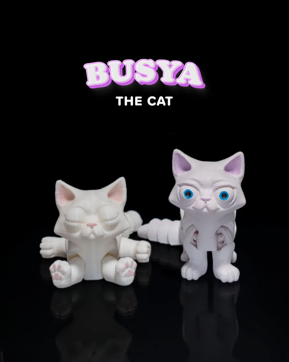 Busya The Cat