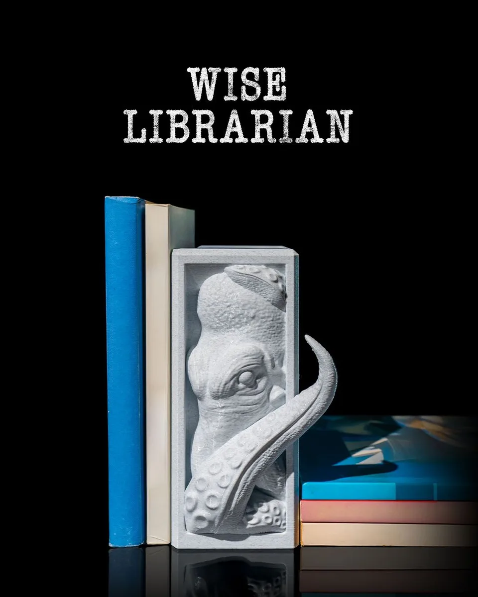 Wise Librarian