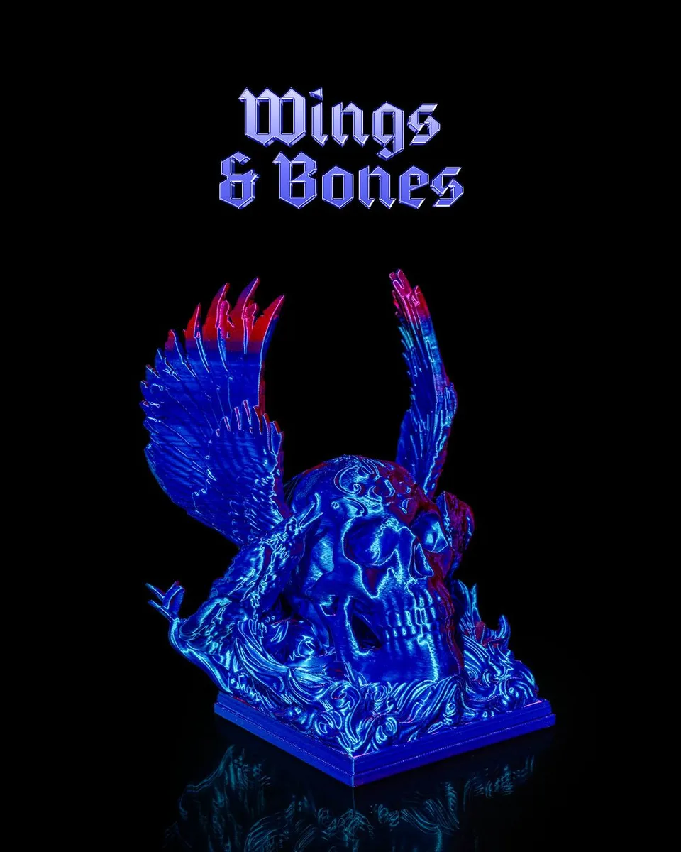 Wings and Bones