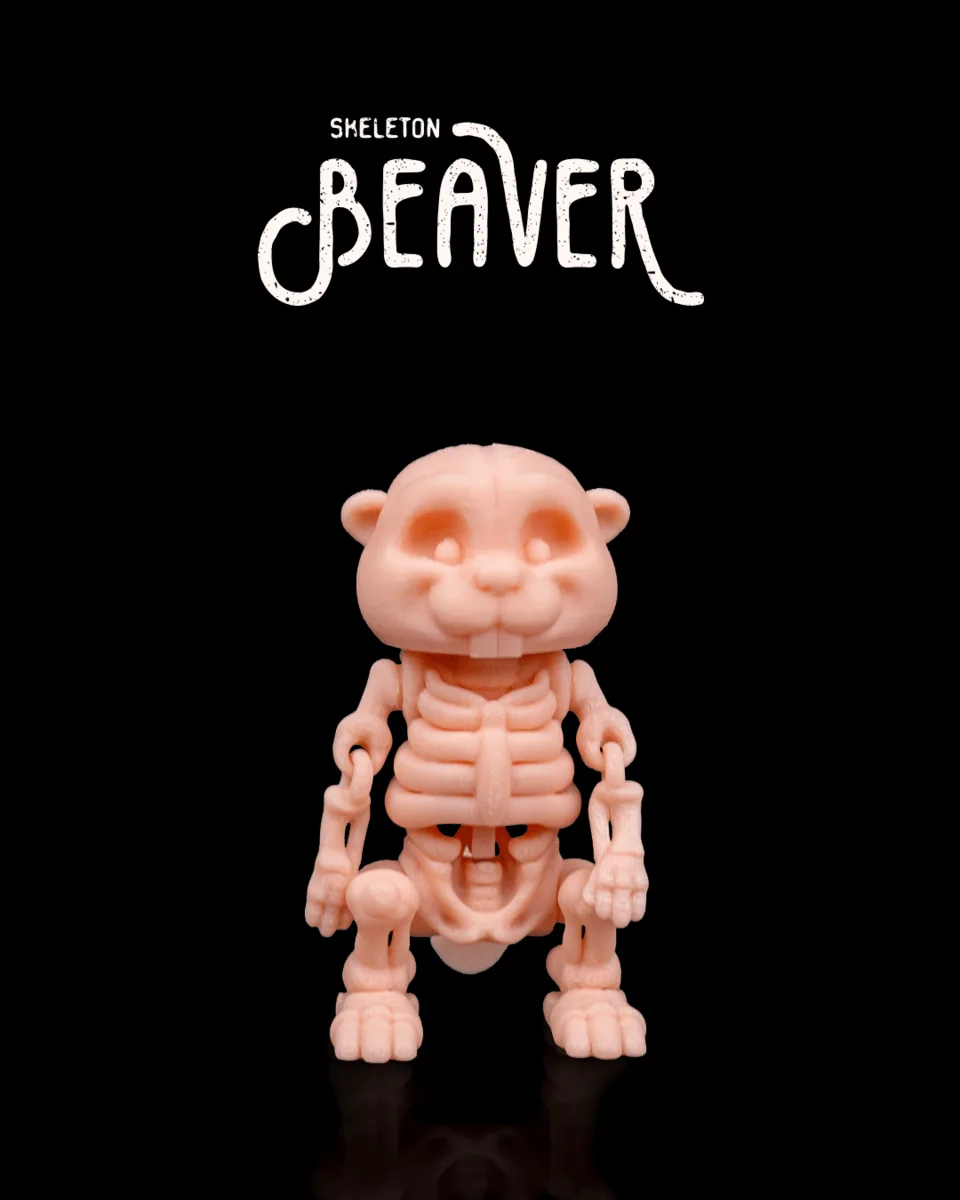 Skeleton Beaver
