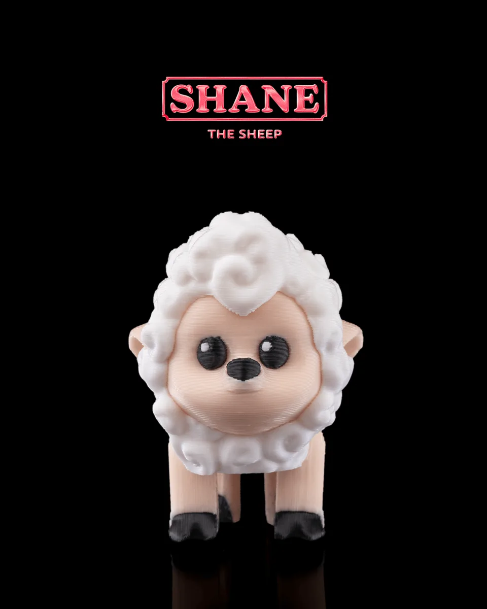 Shane, The Sheep
