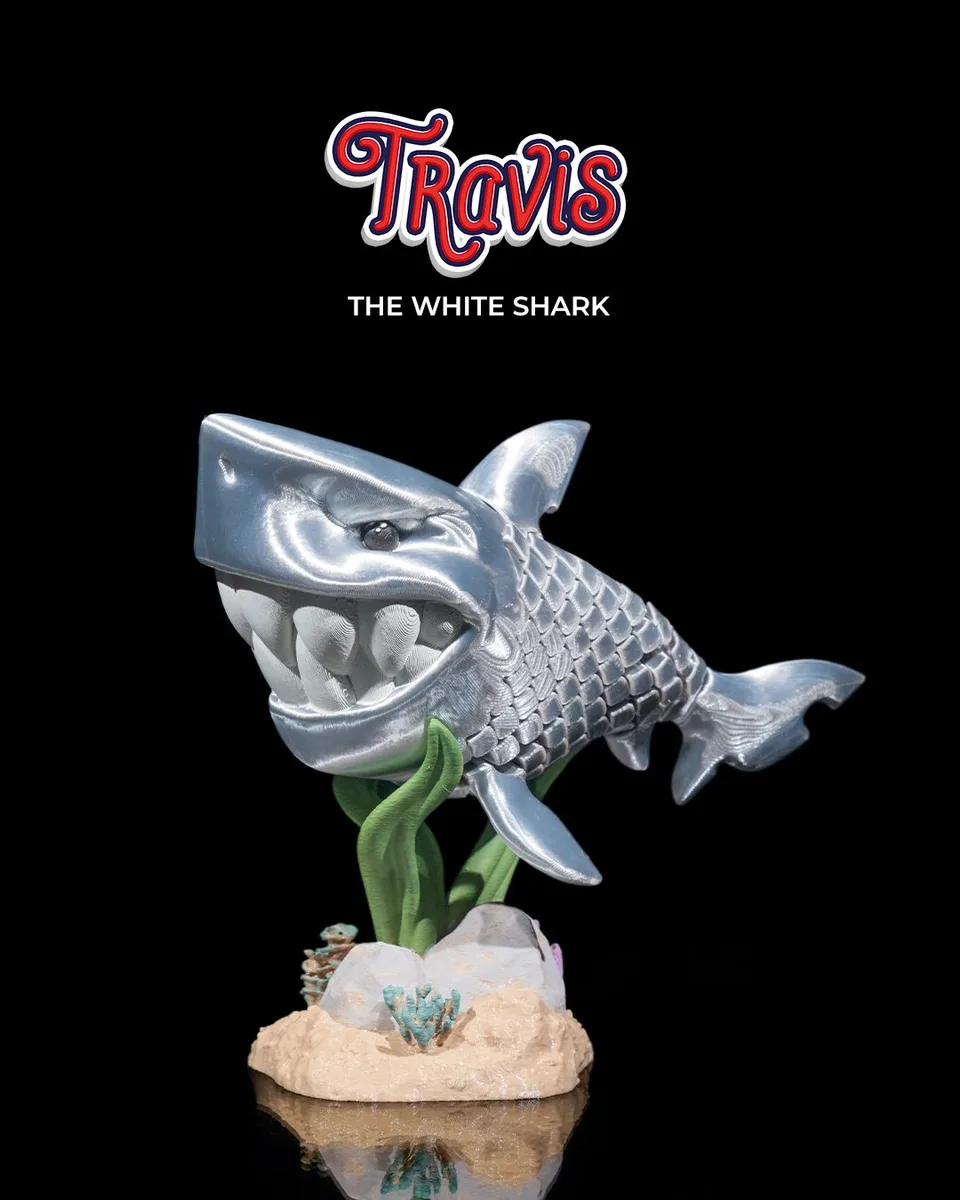 Travis, the White Shark