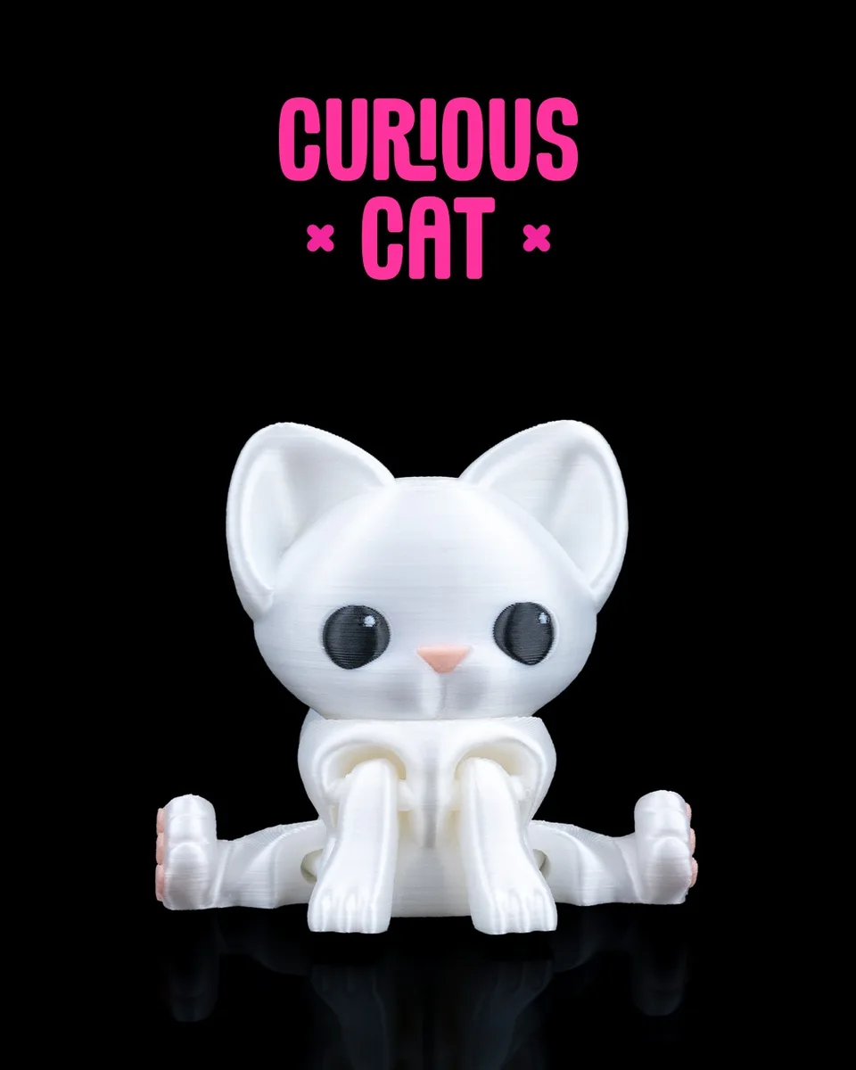 Curious Cat