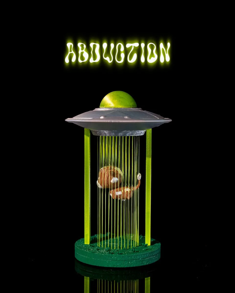 Abduction 