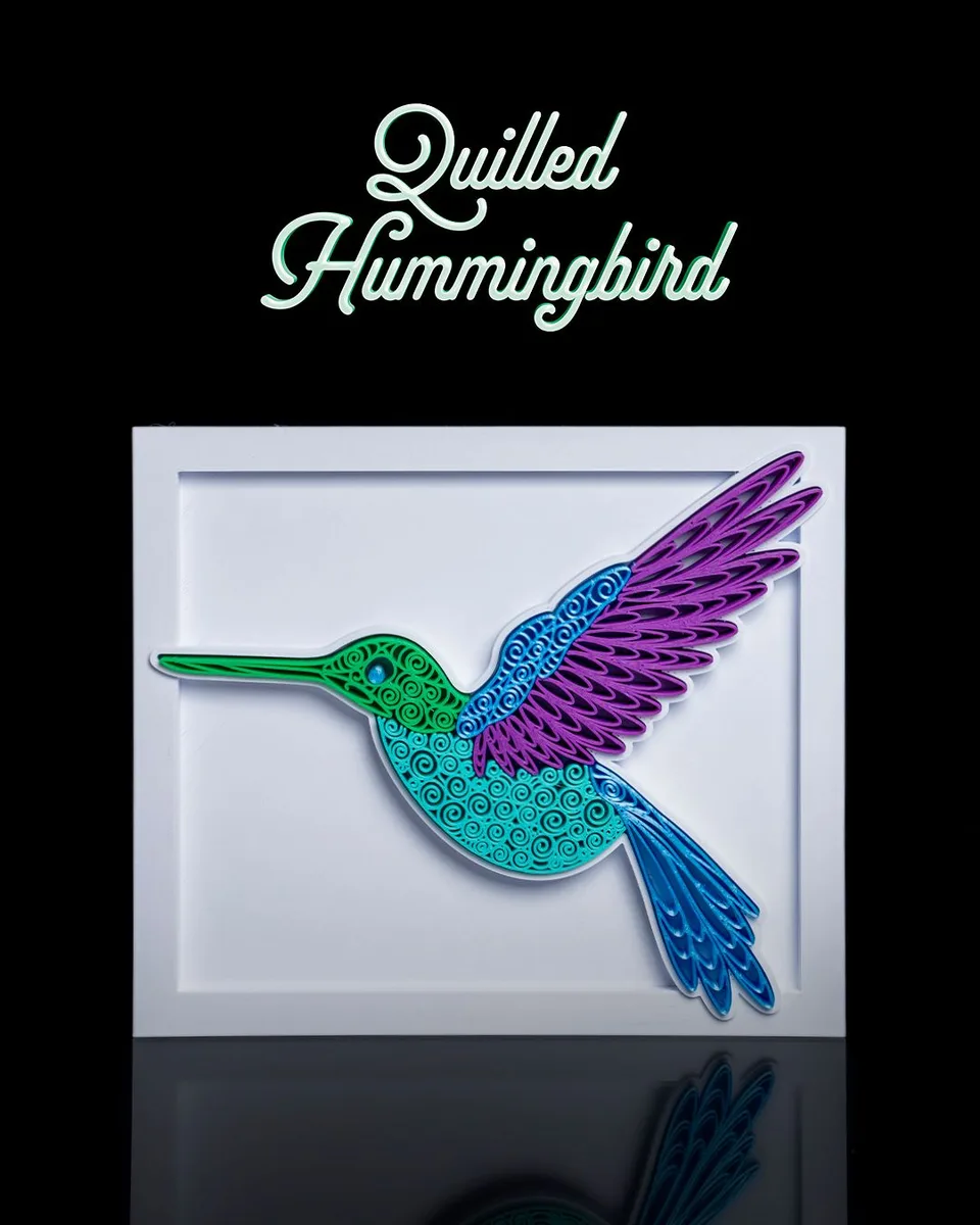 Quilled Humming Bird