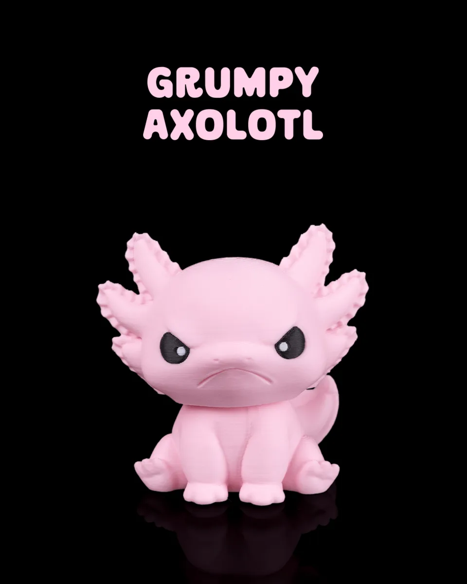 Grumpy Axolotl
