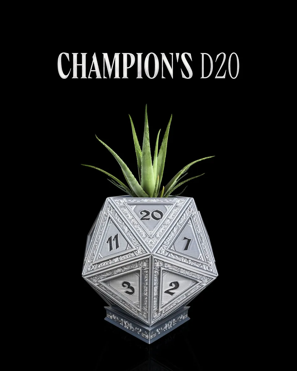 Champion's D20
