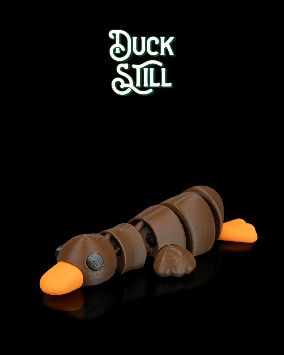 Duck Still