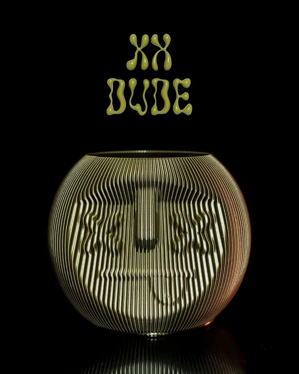 XX Dude