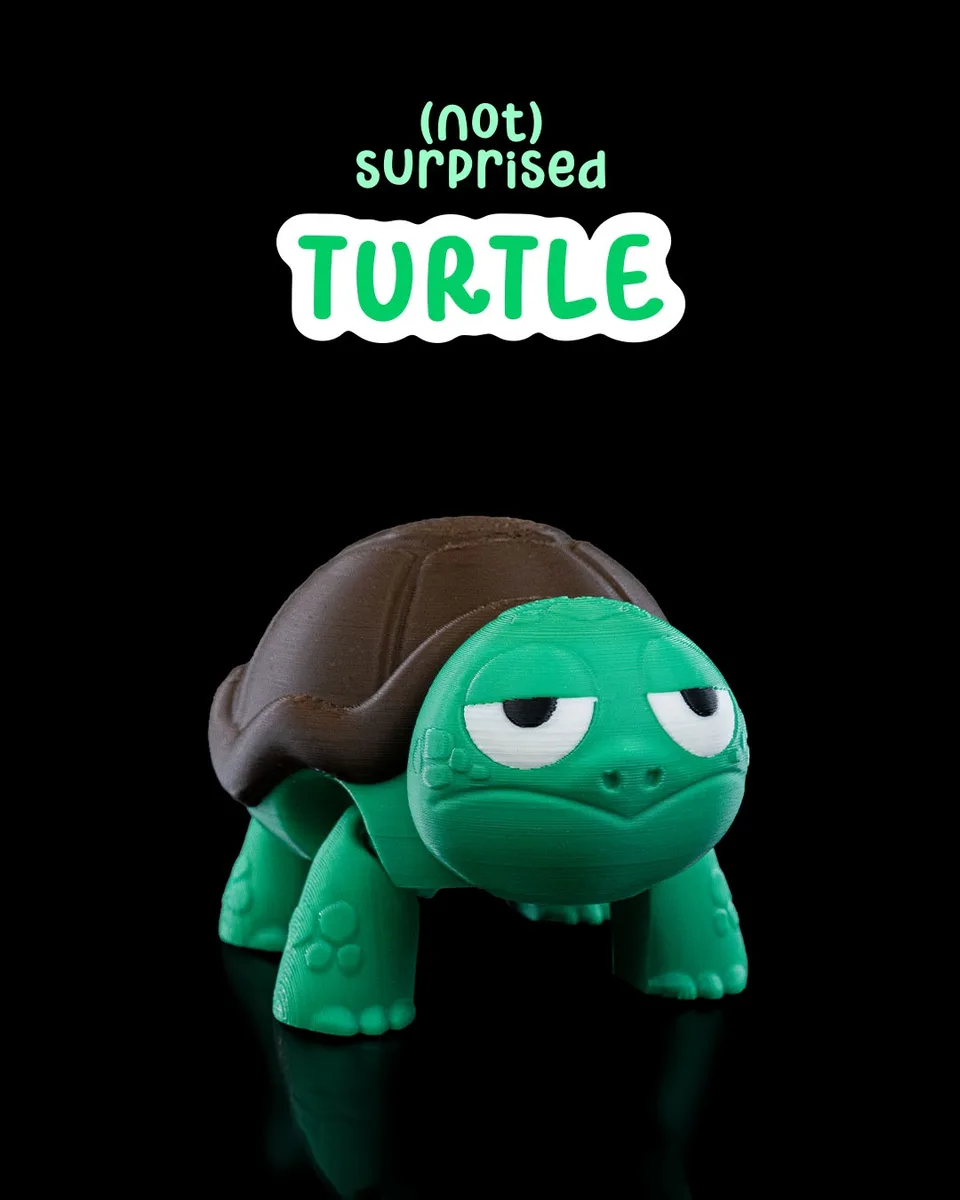 (Not) Surprised Turtle