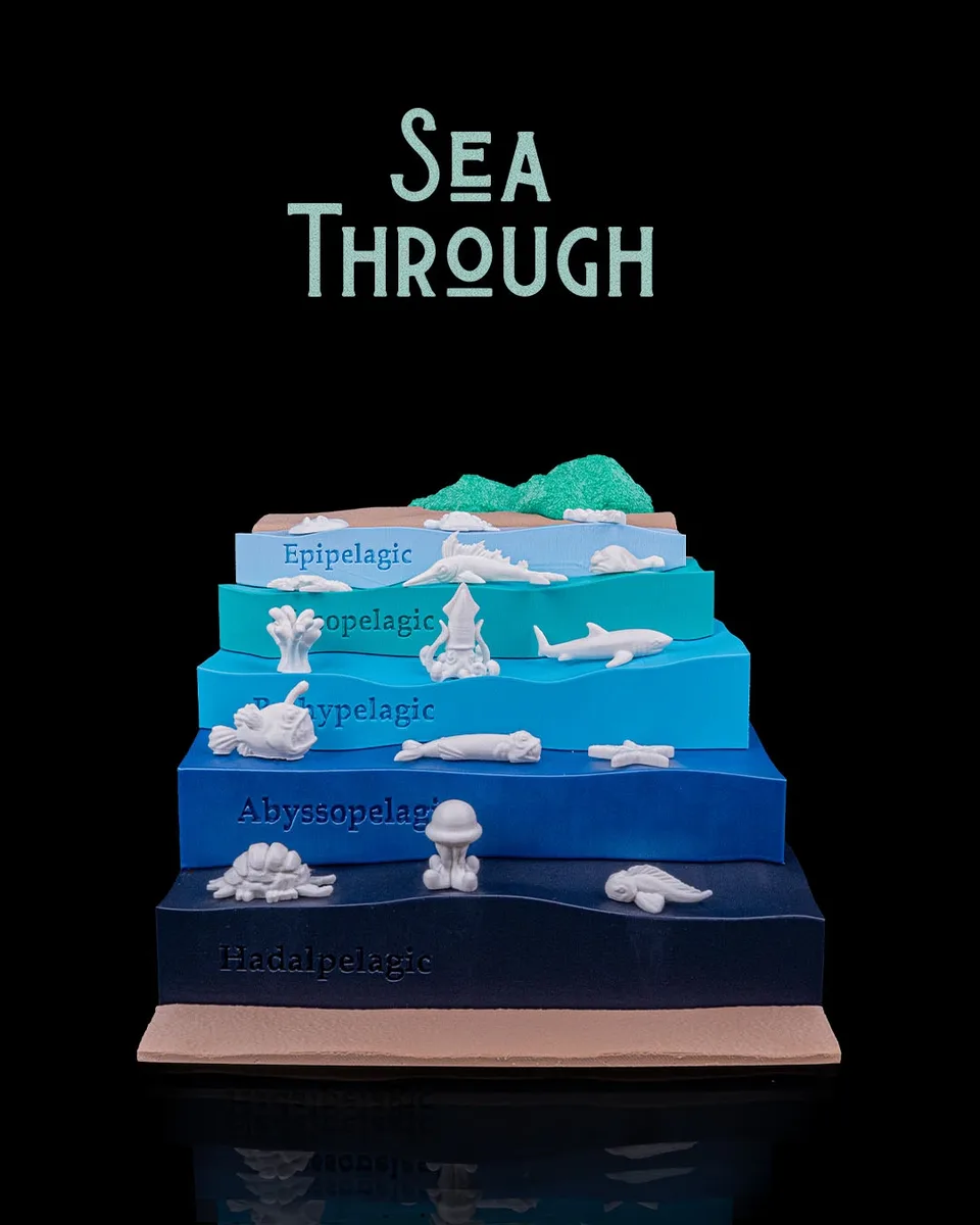 Sea Through