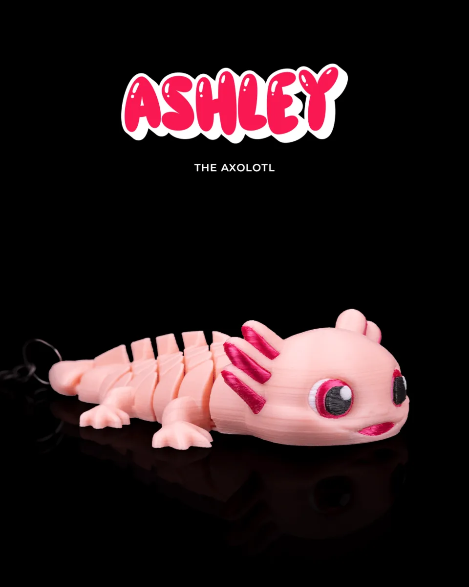 Ashley, the Axolotl