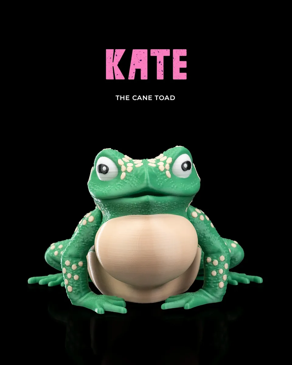 Kate, the Cane Toad