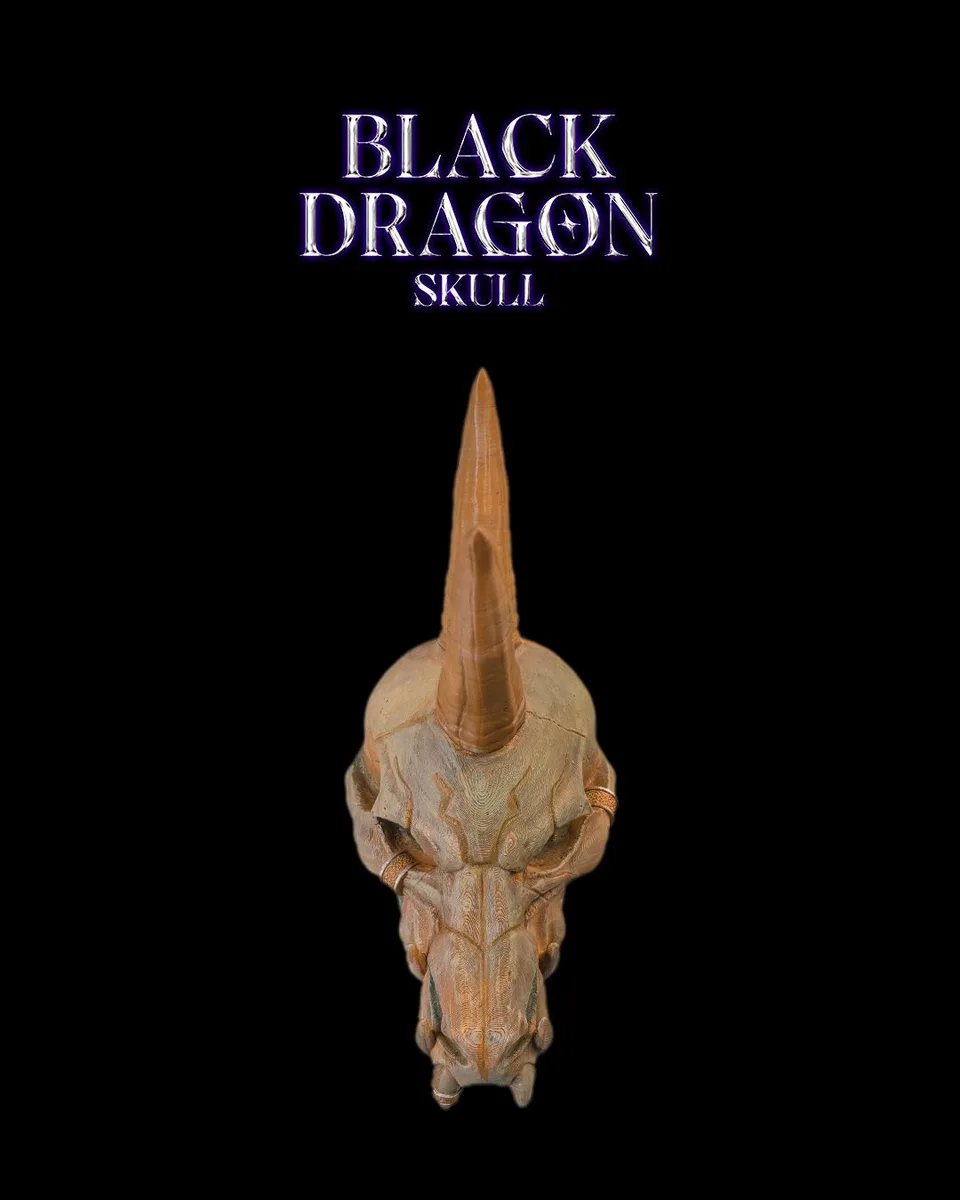 Black Dragon Skull