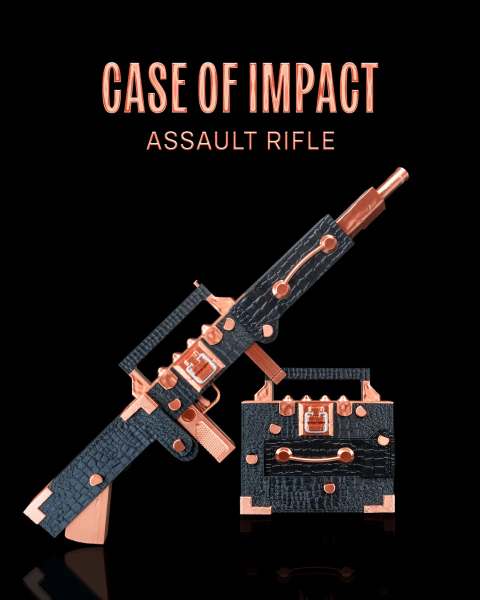 Case of Impact Assault Rifle