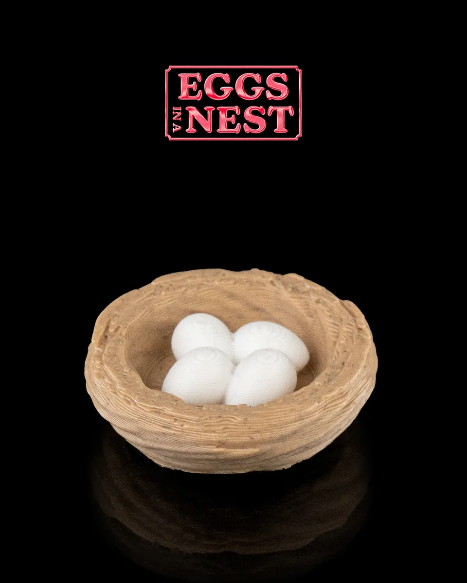 Eggs in a nest