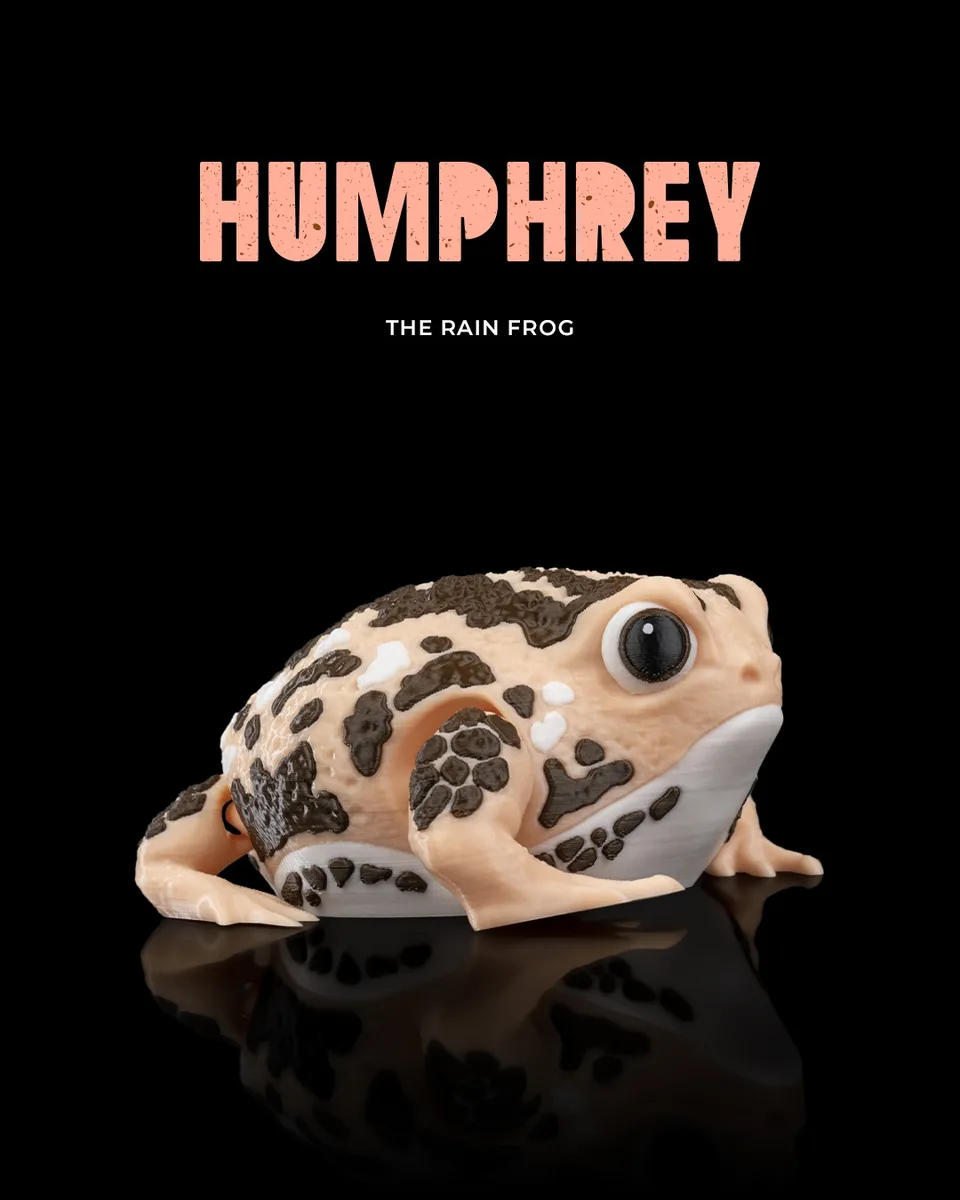 Humphrey, the Rain Frog