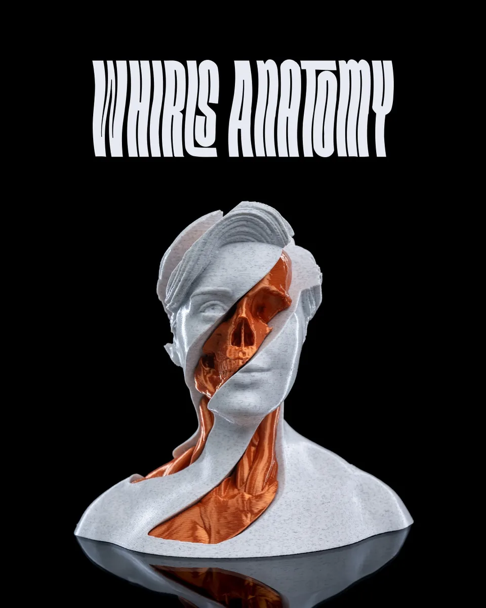 Whirls Anatomy