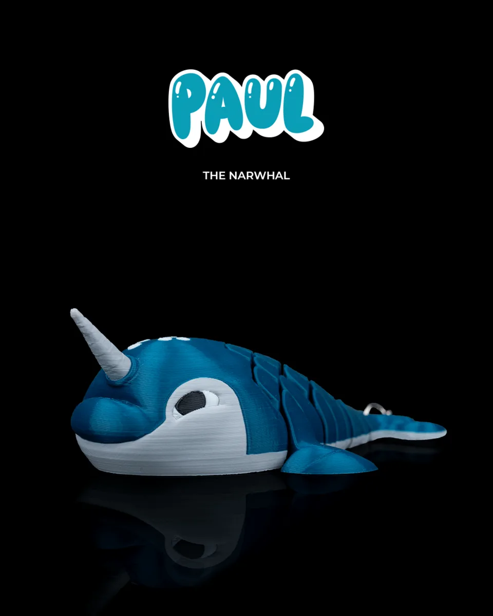 Paul, the Narwhal
