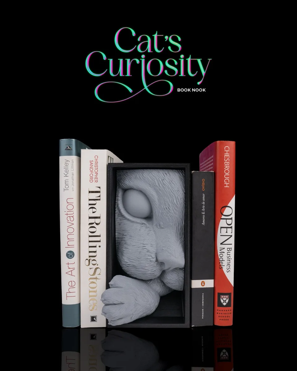 Cat’s Curiosity Book Nook 