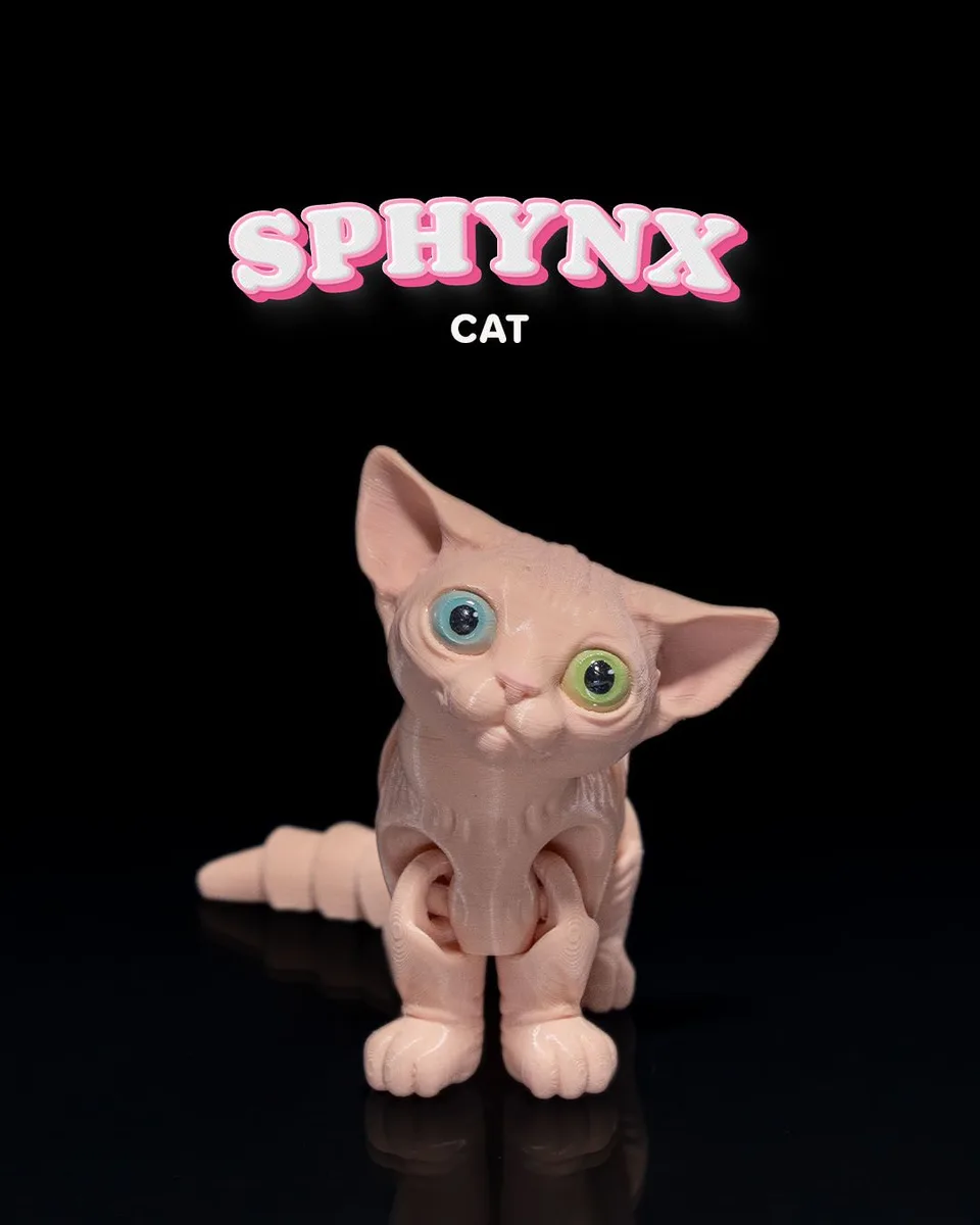 Sphynx Cat