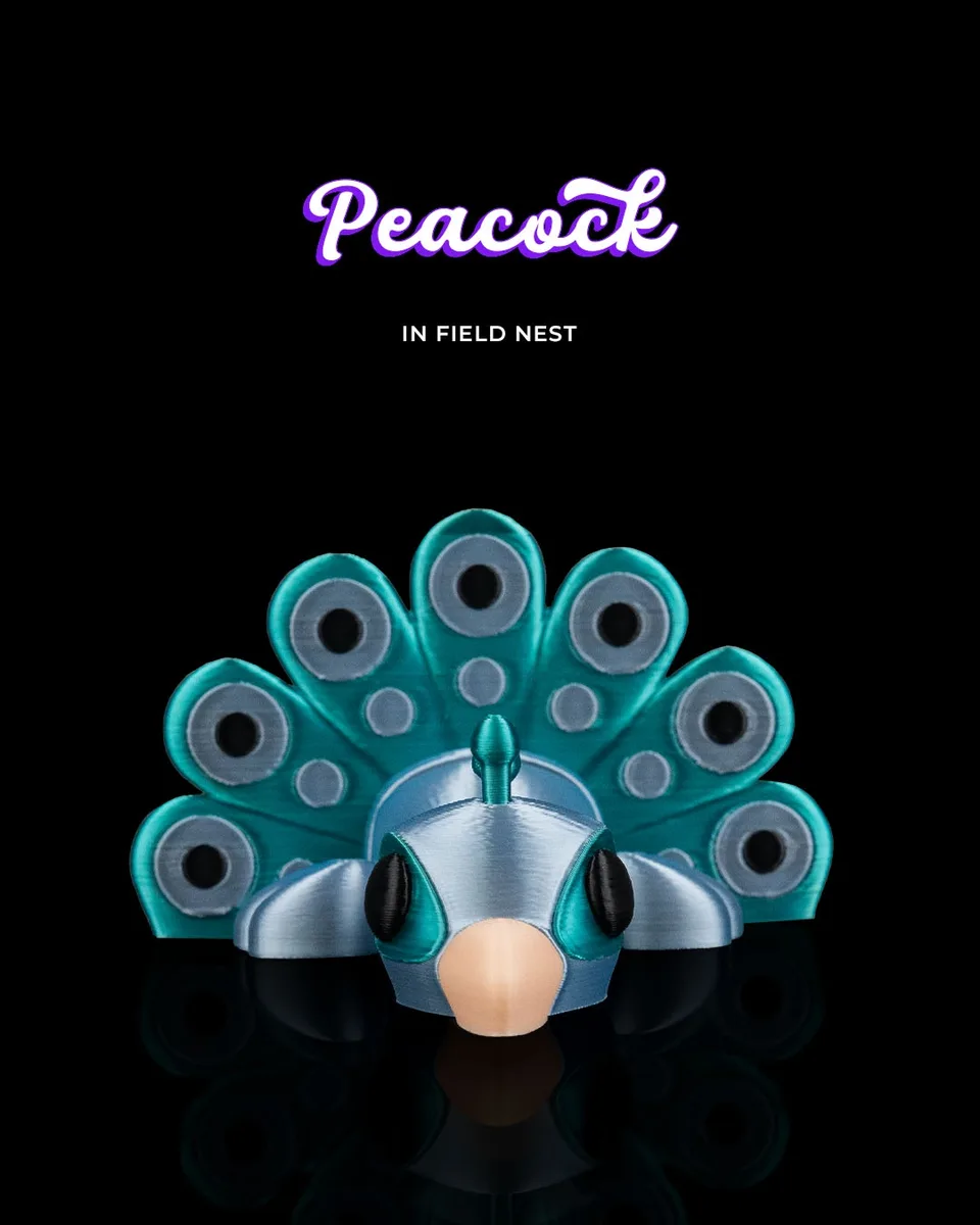 Peacock in Field Nest