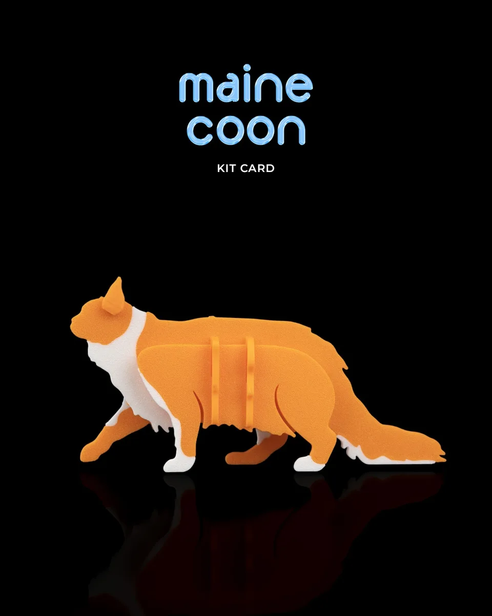 Maine Coon Kit Card