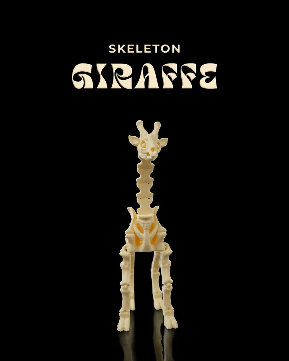 Skeleton Giraffe