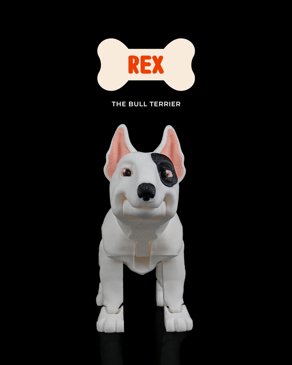 Rex, the Bull Terrier